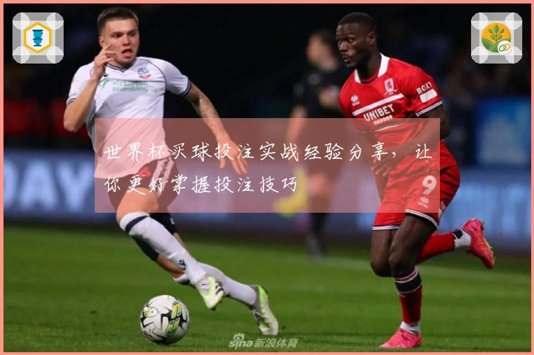 世界杯买球投注实战经验分享，让你更好掌握投注技巧
