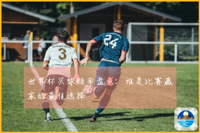 世界杯买球赔率盘点：谁是比赛赢家的最佳选择